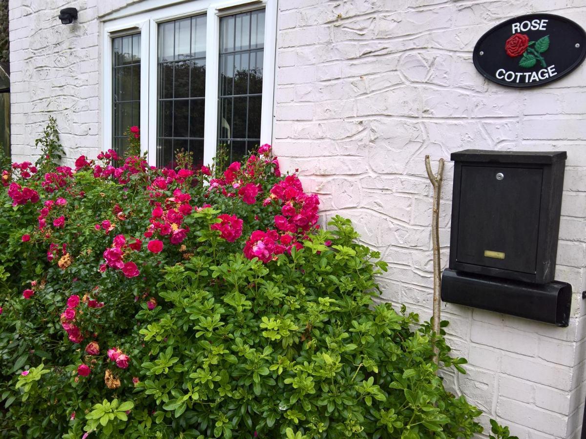 Rose Cottage Чард Екстериор снимка